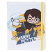 Diárové puzdro na tablet 10-11" Harry Potter Harry Broom