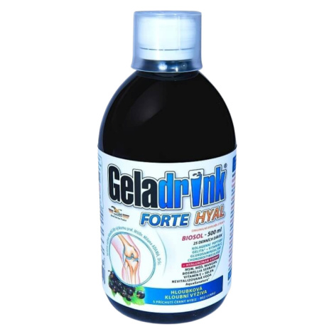 GELADRINK Forte HYAL biosol čierne ríbezle 500 ml