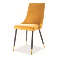 Sconto Jedálenská stolička PAONU 2 žltá/čierna/zlatá