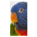 Osuška Farebný papagáj 70x140