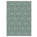 Zelený vonkajší koberec 80x150 cm Pangli Green – Hanse Home