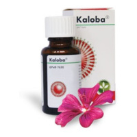 KALOBA kvapky 50 ml