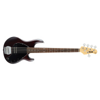 Sterling by Music Man SUB Walnut Satin