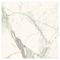 Dlažba Graniti Fiandre Marble Lab Calacatta Statuario 60x60 cm leštená AL192X860