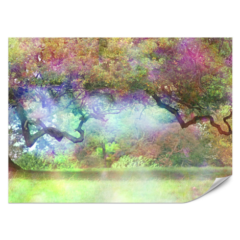 Muralo FOTOTAPETA Vliesová pre Deti Magický Farebný Les Stromy Kríky Listy Rastliny 400x280