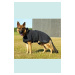 Rehabilitačná deka pre psov Softshell 33 cm KRUUSE