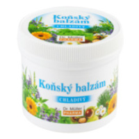 Dr. Müller konský balzam chladivý 250 ml