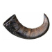 Trixie Natural buffalo (bovine) chewing horn, large