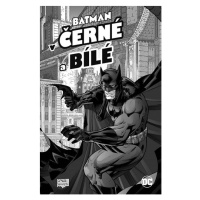 DC Comics Batman v černé a bílé