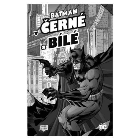 DC Comics Batman v černé a bílé