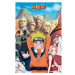 Abysse Corp Naruto Group Poster 91,5 x 61 cm