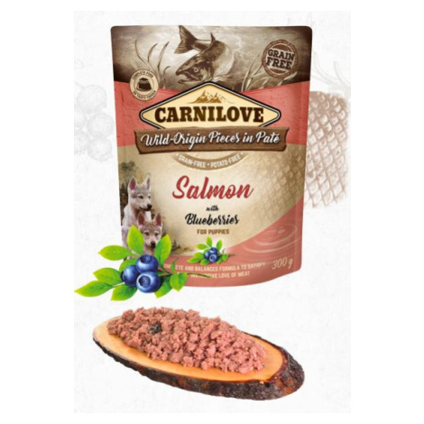 Carnilove Dog Paté 300g - Puppy Salmon/Blueberries