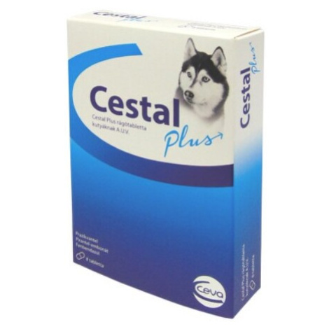 CESTAL Plus 8 žuvacích tabliet