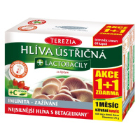 TEREZIA Hliva ustricovitá + lactobacily 60+60 kapsúl ZDARMA