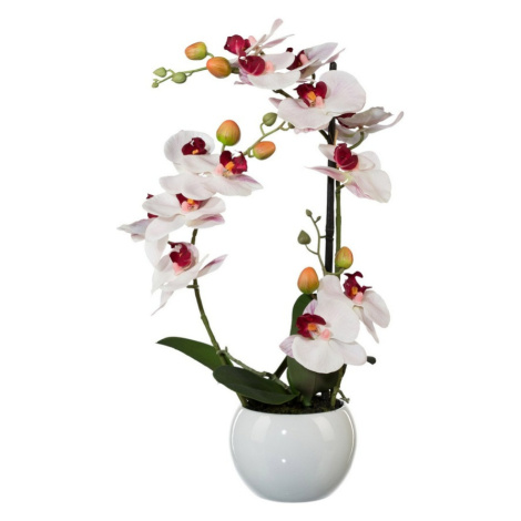 Umelá Orchidea v keramickom kvetináči biela, 42 cm 1118033-10