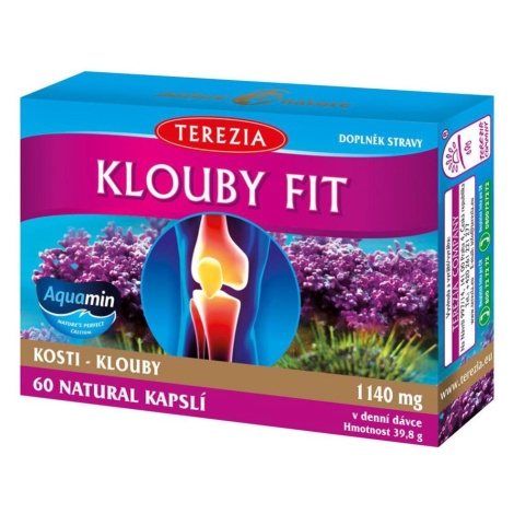 TEREZIA Kĺby Fit 60 kapsúl