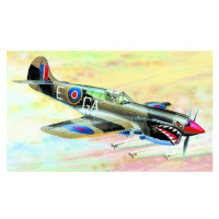 Model Curtiss P-40 K Kittyhawk MK.3 13,2 x 15,7cm v krabici 25x14,5x4,5cm