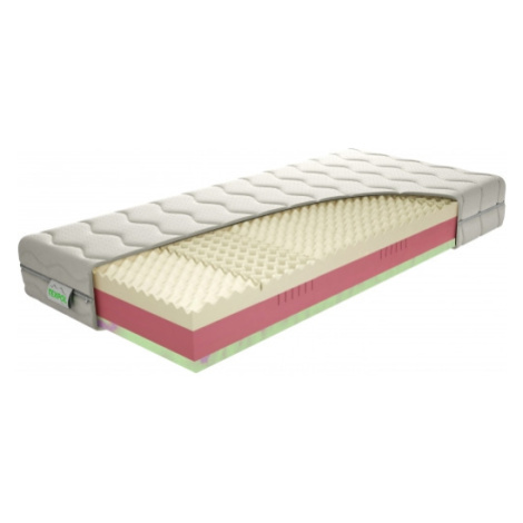 TEXPOL Kvalitný matrac s úpravou proti roztočom MEMORY FRESH Rozmer: 195x85, Poťahová látka: Tri