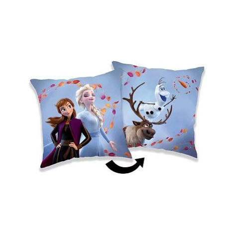 Jerry Fabrics Vankúšik Frozen Wind