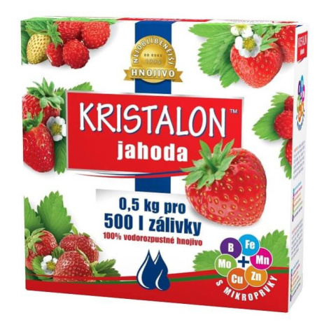 Agro Kristalon Jahoda 500g Agro CS