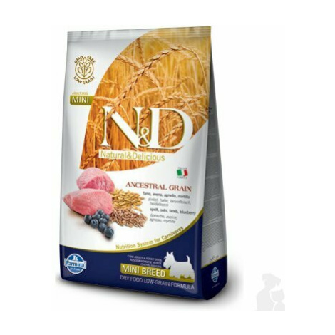 N&D LG DOG Adult Mini Lamb & Blueberry 800g