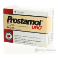 Prostamol uno 320 mg 60 tbl