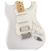 Fender Juanes Stratocaster MN LN WH