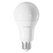 TechToy Smart Bulb RGB 11W E27