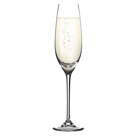 Poháre na šampanské Sommelier 210 ml, 6 ks