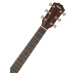 Taylor Academy 22e Walnut Top