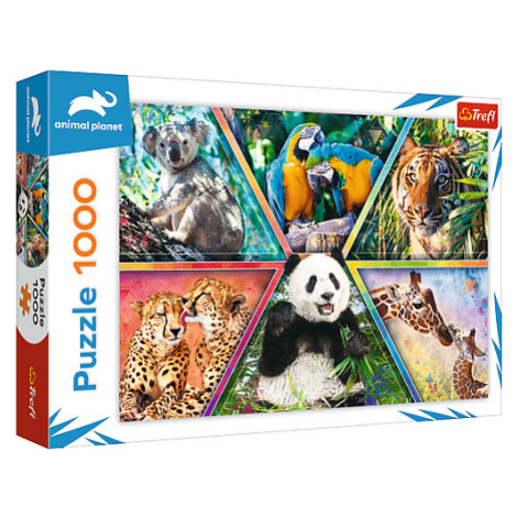 Trefl Puzzle 1000 - Kráľovstvo zvierat