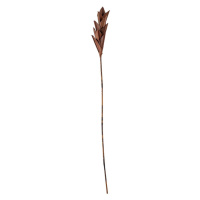 Dekorácia v tvare palmového listu Bloomingville Afina, výška 93 cm