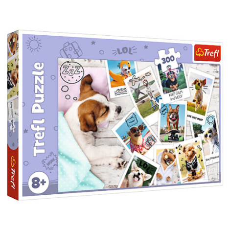 Trefl Puzzle 300 - Fotky z dovolenky