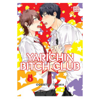 Viz Media Yarichin Bitch Club 03