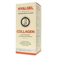 HYALGEL Collagen sirup s pomarančovou príchuťou 500 ml