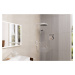 Hansgrohe Hansgrohe, sprchové rameno 390 mm, matná biela, HAN-27694700