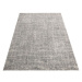 DY Sivý moderný koberec Sily Rozmer: 160x220 cm