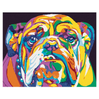 Diamantové maľovanie - FAREBNÝ BULLDOG Rámovanie: bez rámu a bez vypnutia plátna, Rozmer: 40x50 