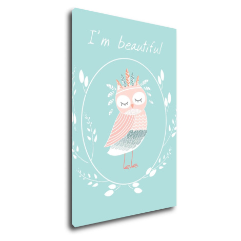 Impresi Obraz I'm beautiful owl - 20 x 30 cm