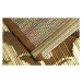 Kusový koberec Zoya 128 N – na ven i na doma - 200x285 cm Oriental Weavers koberce