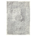 Sivo-krémový koberec Hanse Home Celebration Plume, 200 x 290 cm