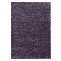 Kusový koberec Sydney Shaggy 3000 violett Rozmery koberca: 80x150