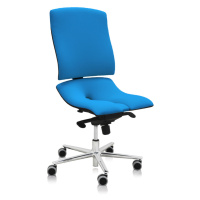 ASANA Seating Ergonomická kancelárska stolička Asana Steel Standard Farba čalúnenia: Látka Atlan