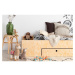 Detská posteľ s výsuvným lôžkom a úložným priestorom v prírodnej farbe 90x200 cm LUNA A – Adeko
