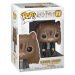 Funko POP! Harry Potter: Hermione Granger As Cat