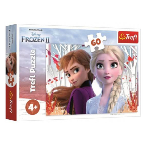 Puzzle Ľadové kráľovstvo II / Frozen II 60 dielikov 33x22cm v krabici 21x14x4cm