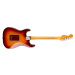 Fender 70th Anniversary American Professional II Stratocaster RW CB