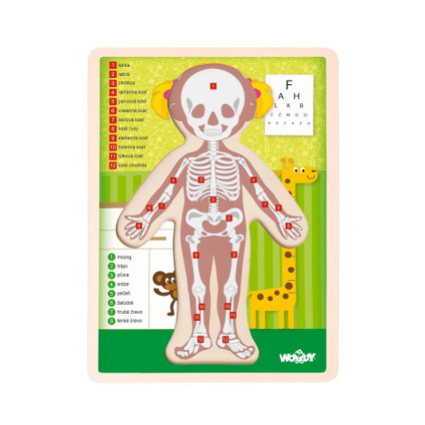 Puzzle "Ľudské telo" – Dievča SK Woody