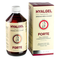 SILVITA HYALGEL FORTE sirup s príchuťou pomaranča 500 ml