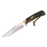 Muela Pointer 13A Stag
